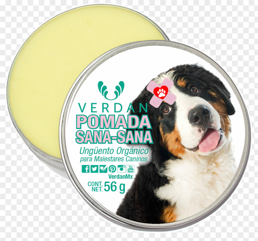 Puppy Bernese Mountain Dog Greater Swiss Entlebucher Mouthwash PNG