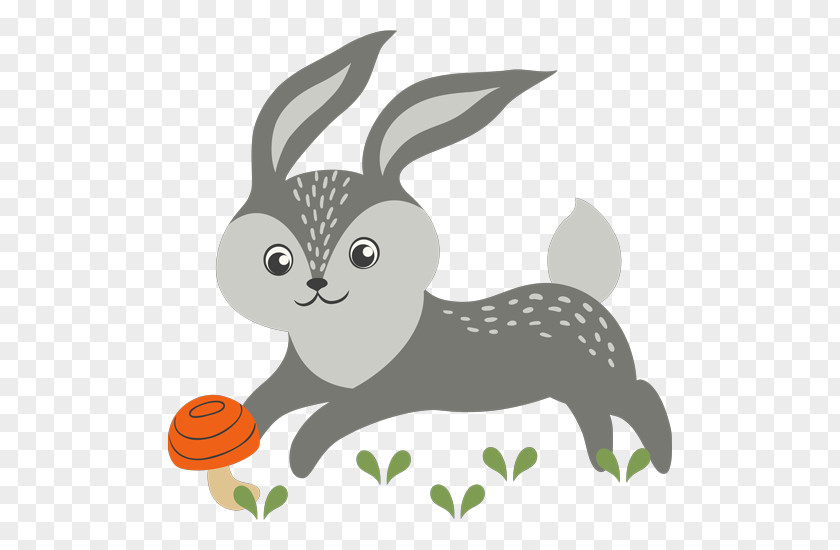 Rabbit Domestic Hare European Infant PNG