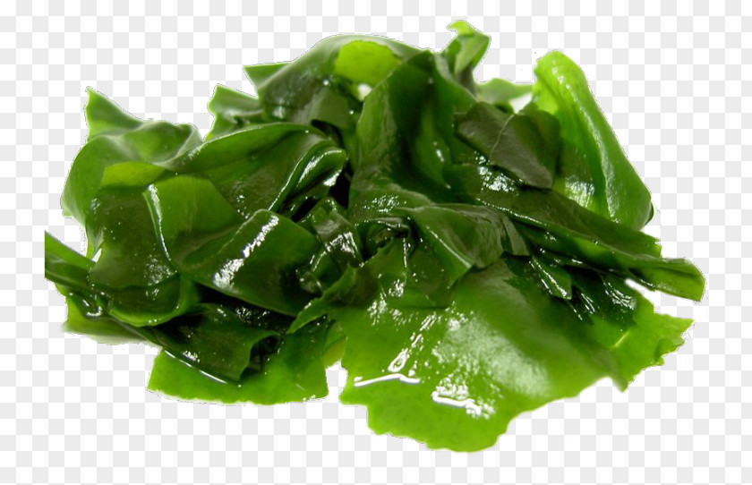 Salad Japanese Cuisine Wakame Seaweed Kelp Miso Soup PNG