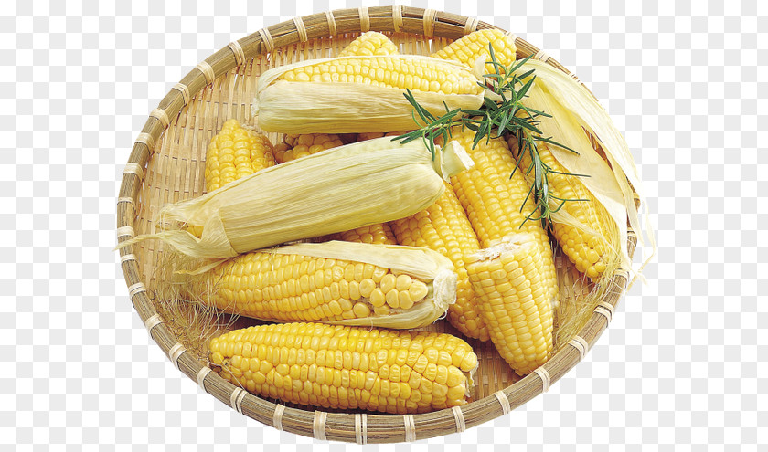 Vegetable Corn On The Cob Maize Food Field PNG