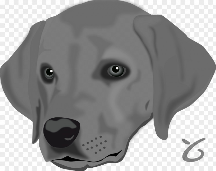 Dog Images Free Labrador Retriever Puppy Clip Art PNG