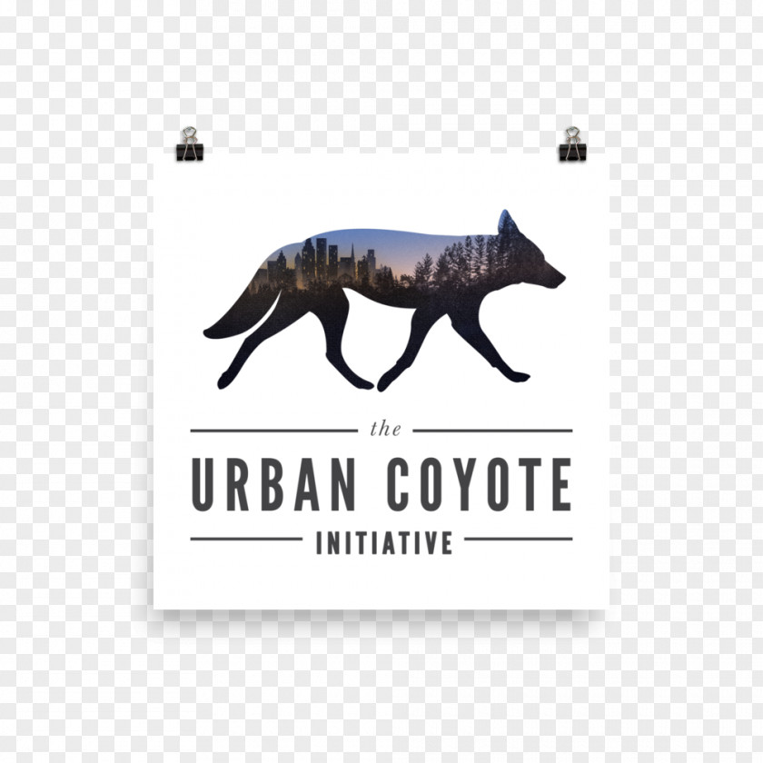 Dog Sky Coyote Canidae Urban PNG