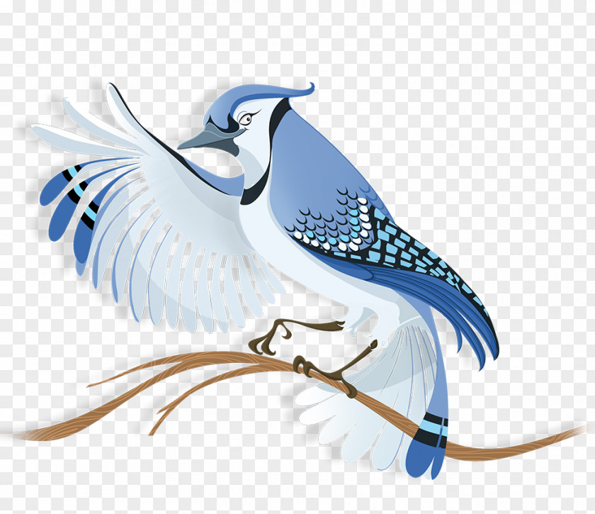 Flock Bird Nest Toronto Blue Jays PNG