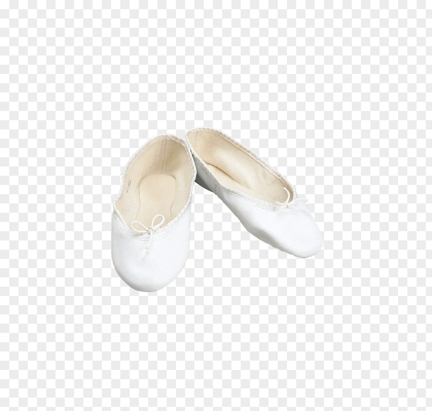 Quebec Slipper Ballet Shoe Walking PNG