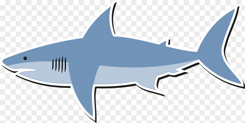 Shark Drawing Cartoon PNG
