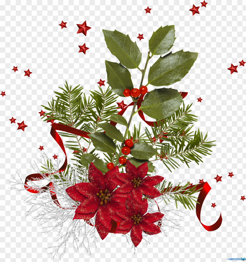 Christmas Cut Flowers Floral Design Holly Floristry PNG