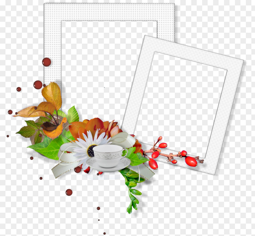 Freshness Frame Picture Frames MOEBE Image Email Photography PNG