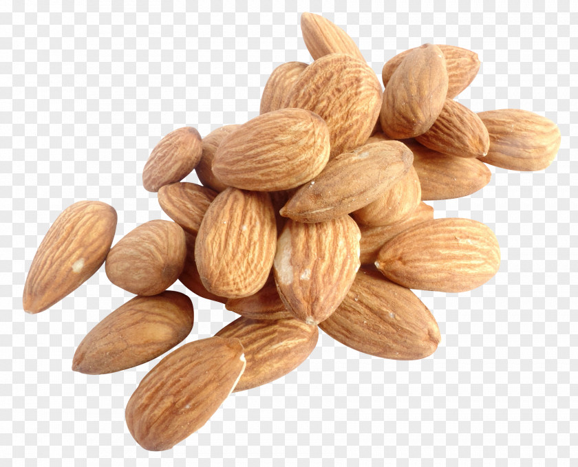 Almond Nut PNG