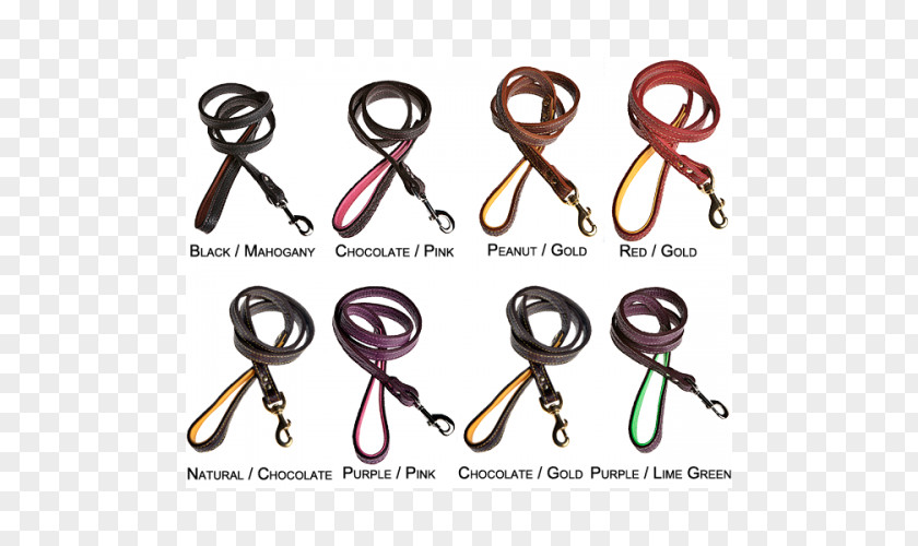 Dog Leash Crate Collar Bison PNG