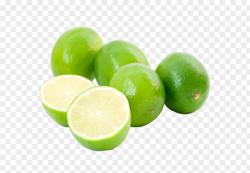 Green Lemon Slice Persian Lime Juice Key PNG