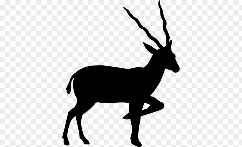 Silhouette Antelope Pronghorn Clip Art PNG