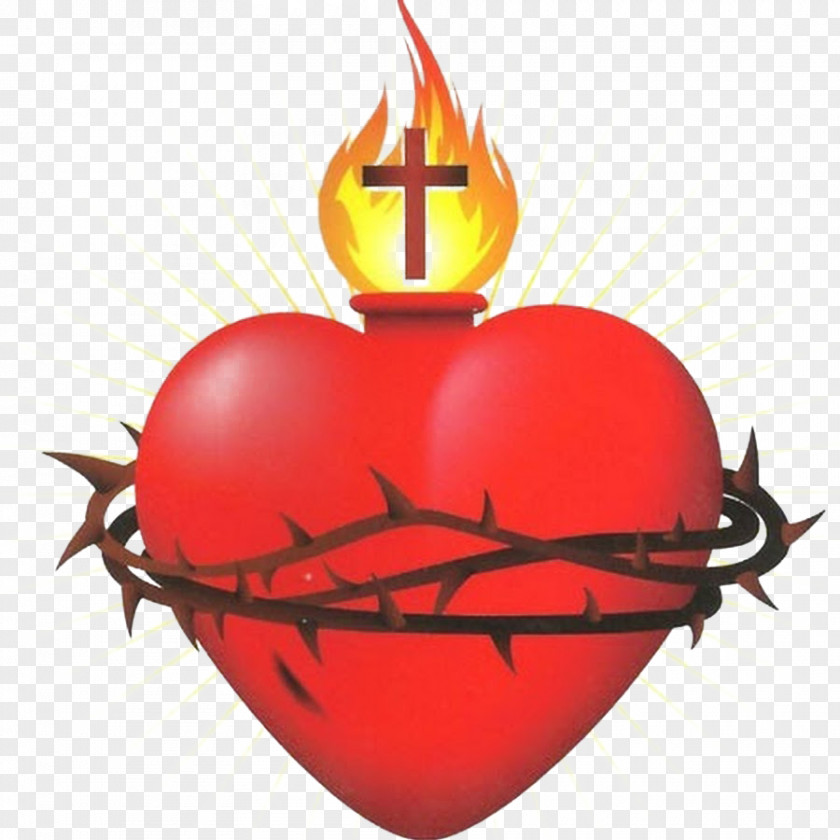 Symbol Sacred Heart Immaculate Of Mary Christianity PNG