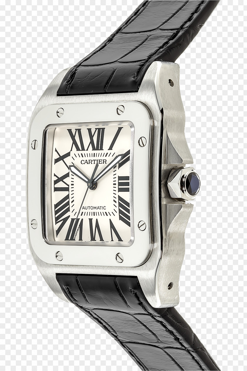100 Anniversary Watch Cartier Colored Gold Steel PNG