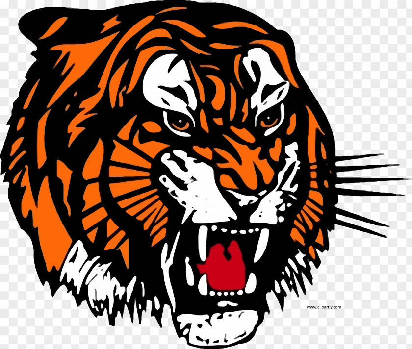 Draw A Tiger Medicine Hat Tigers Brandon Wheat Kings Memorial Cup 2016–17 WHL Season PNG