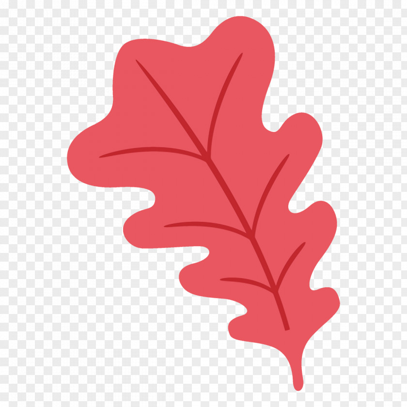 Flower Heart Leaf Red Tree Plant Woody PNG