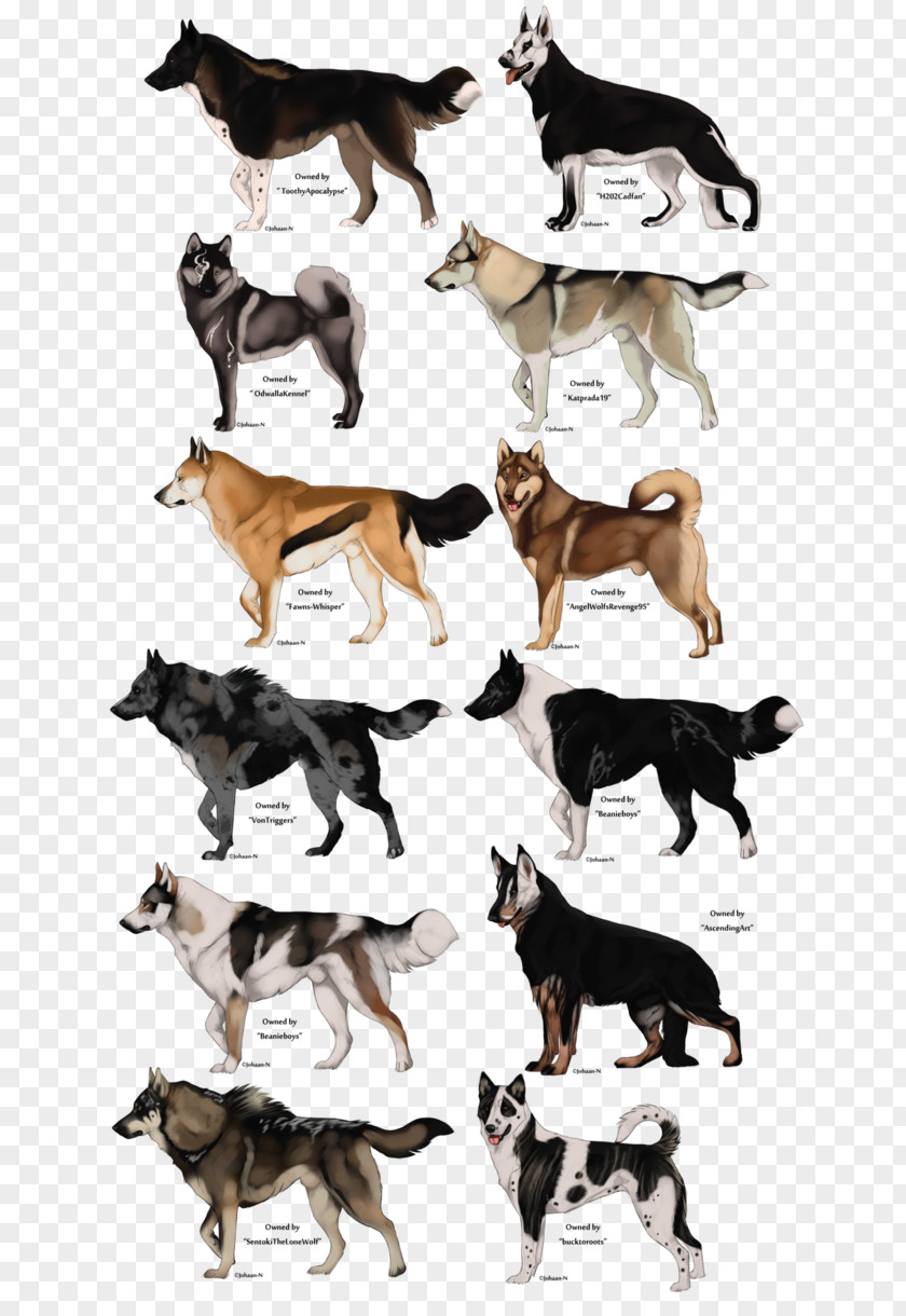 Puppy Dog Breed Whippet Italian Greyhound Drawing PNG