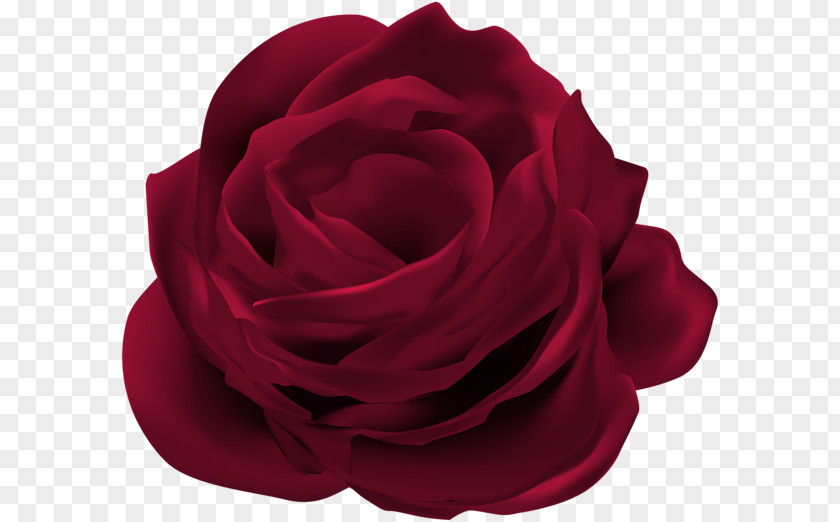 Rose Clip Art Flower Image Graphics PNG