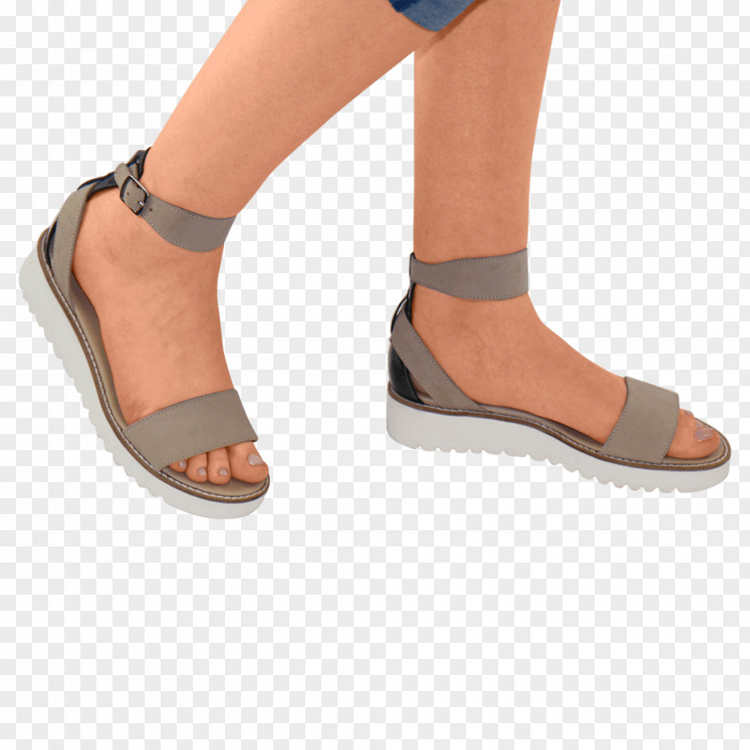 Sandal Ankle Ladakh Shoe Brush PNG