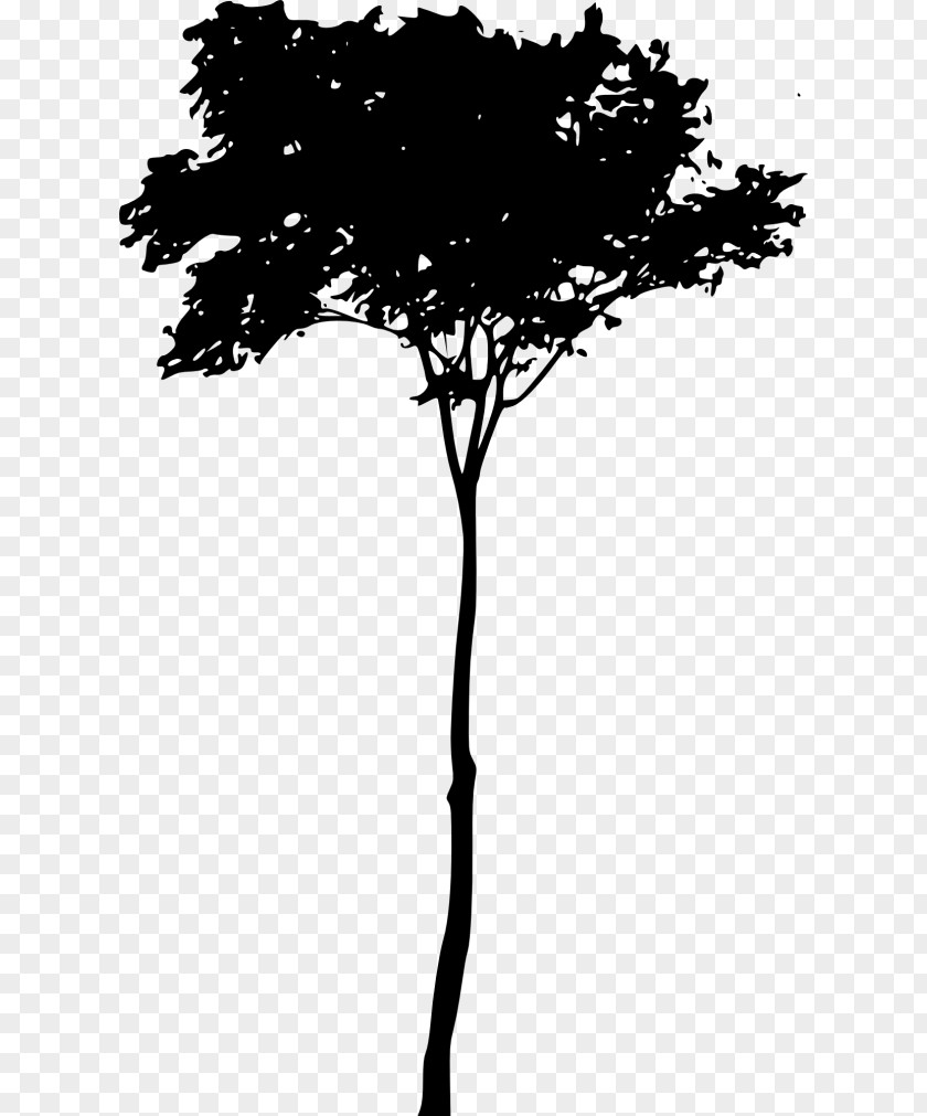 Silhouette Twig PNG