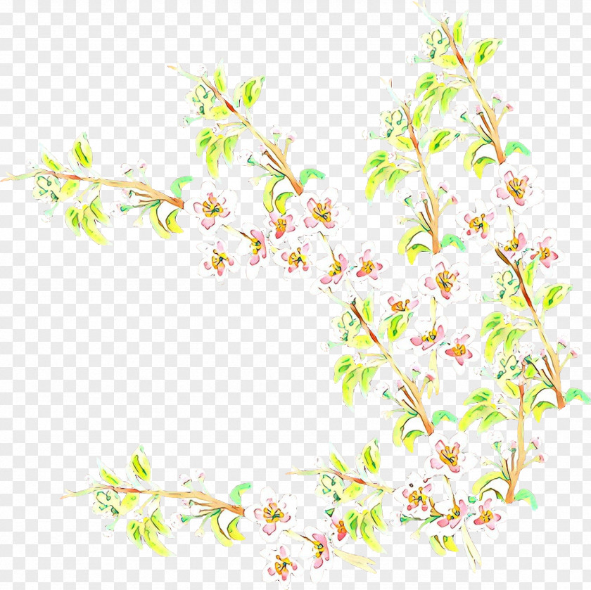 Twig Pedicel Cherry Blossom Cartoon PNG