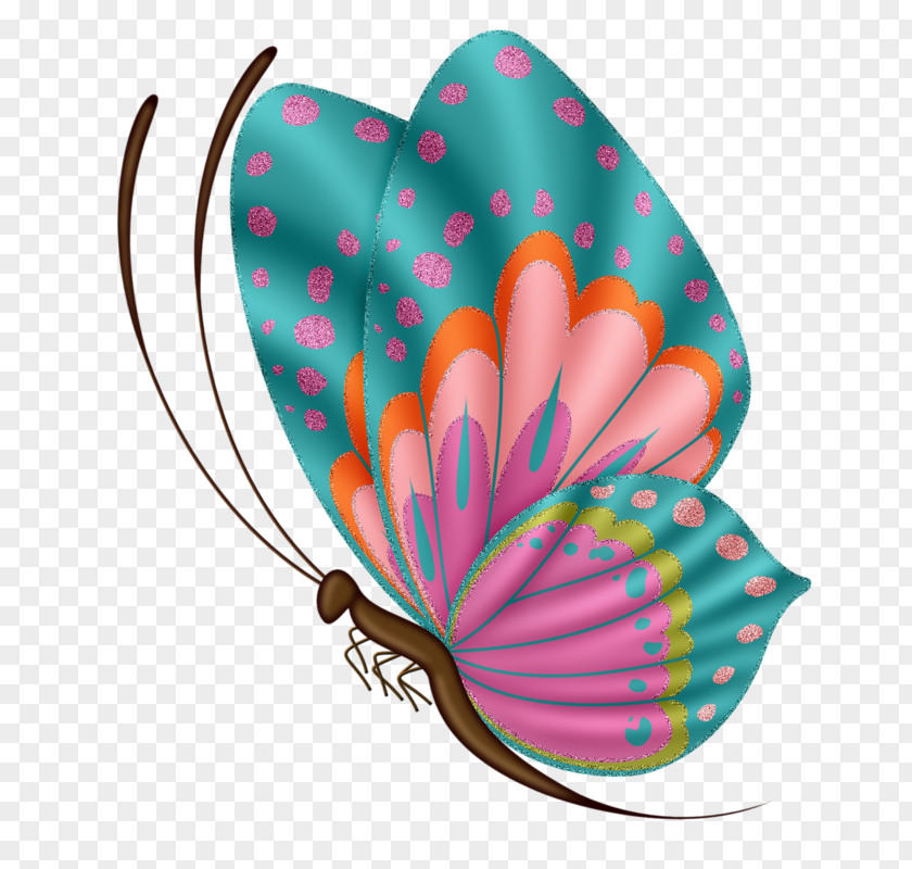 Butterfly Drawing Clip Art PNG