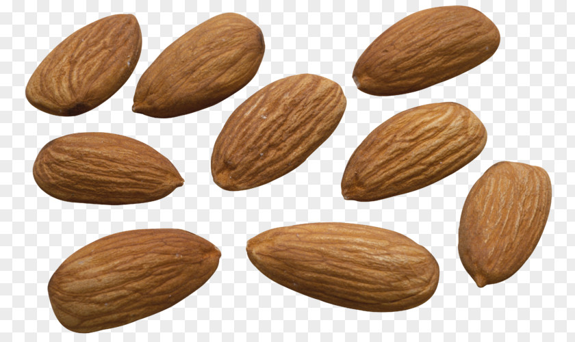 French Bean Almonds Desktop Wallpaper Almond Biscuit Apricot Kernel PNG
