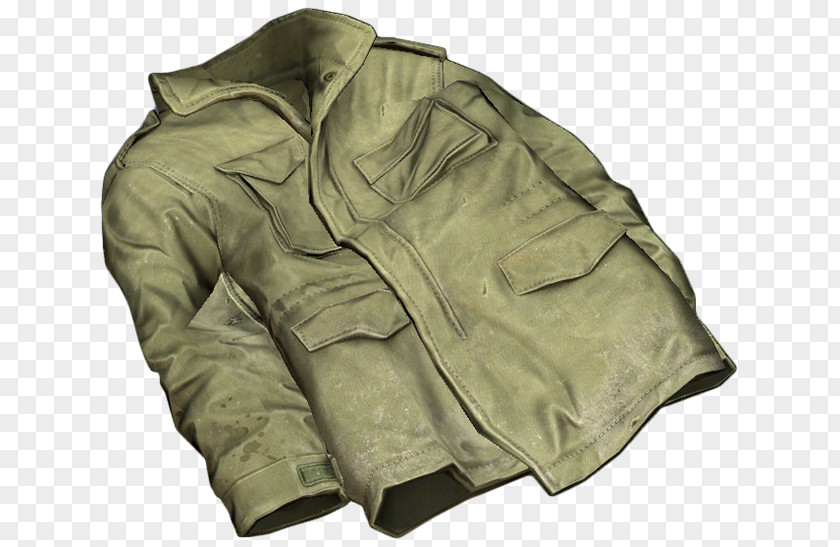 Jacket M-1965 Field Sleeve United States Armed Forces DayZ PNG