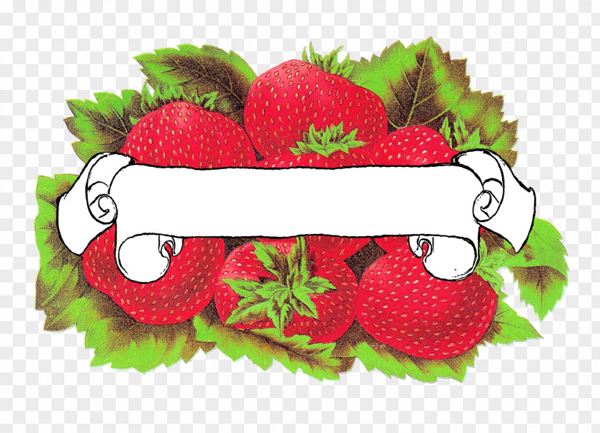 Label Design Strawberry PNG
