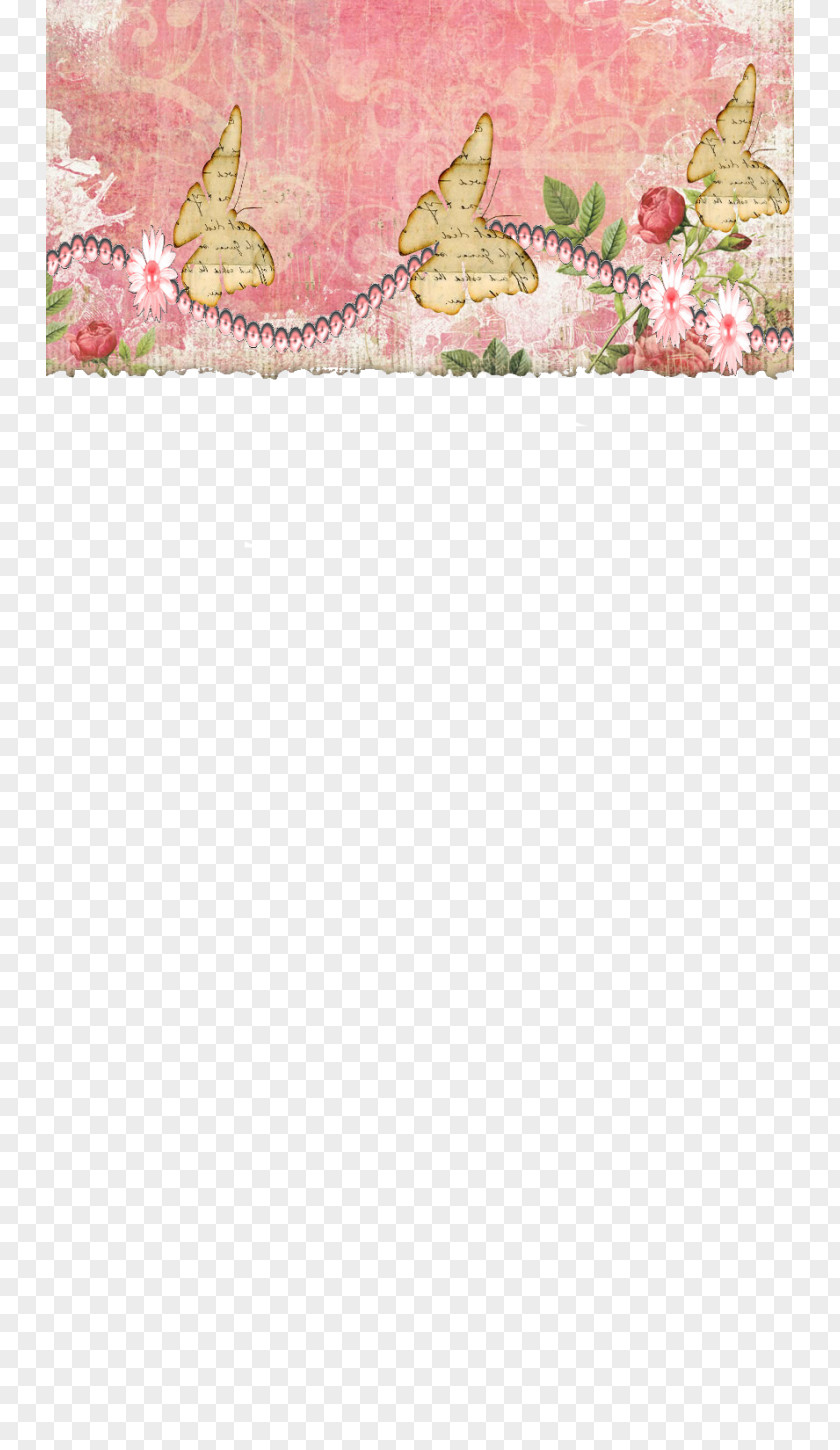 Mermaid Shell Pink M RTV PNG