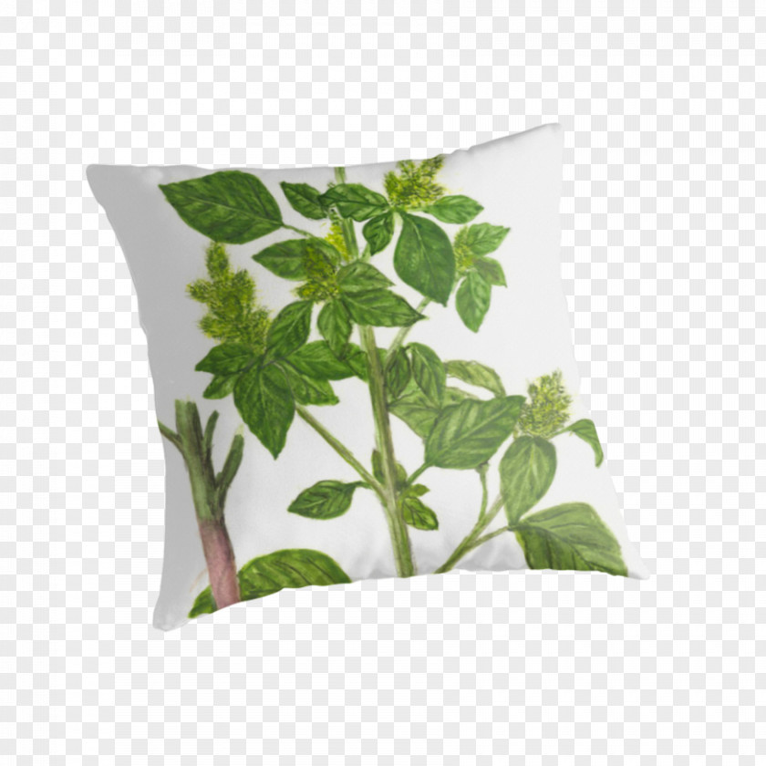 Pillow Throw Pillows Cushion Leaf Herb PNG