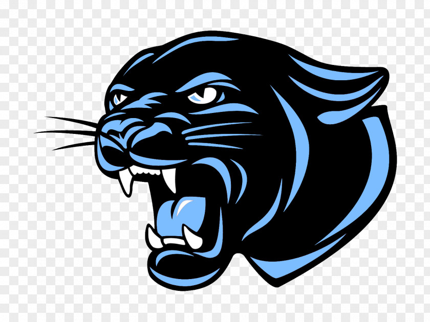 Bigger Harder Fight Win Tiger Leopard Carolina Panthers Lion PNG