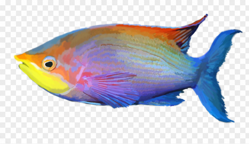 Exotic Tropical Fish Aquariums PNG