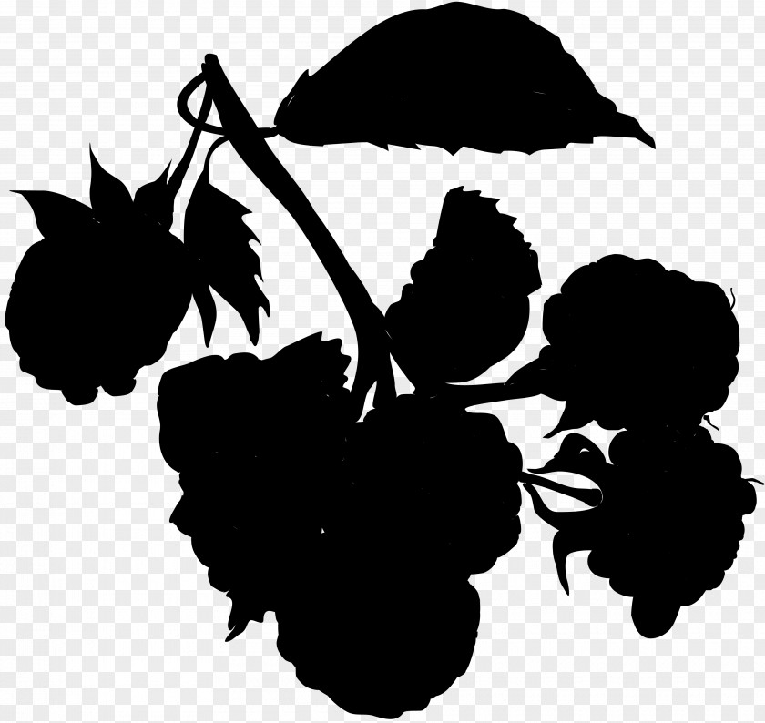 M / 0d Clip Art Flower Silhouette Fruit PNG