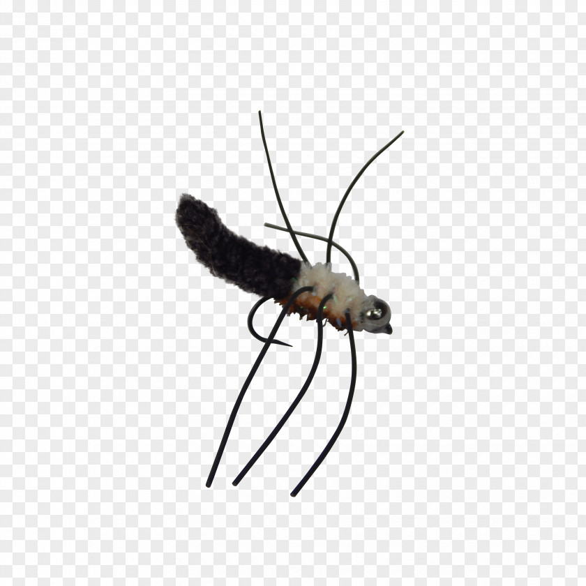 Mosquito Insect Pollinator Membrane PNG