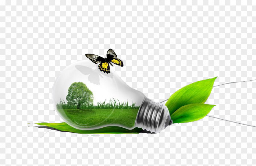 Environmental Class Clean Green Energy Protection Incandescent Light Bulb LED Lamp Electric PNG