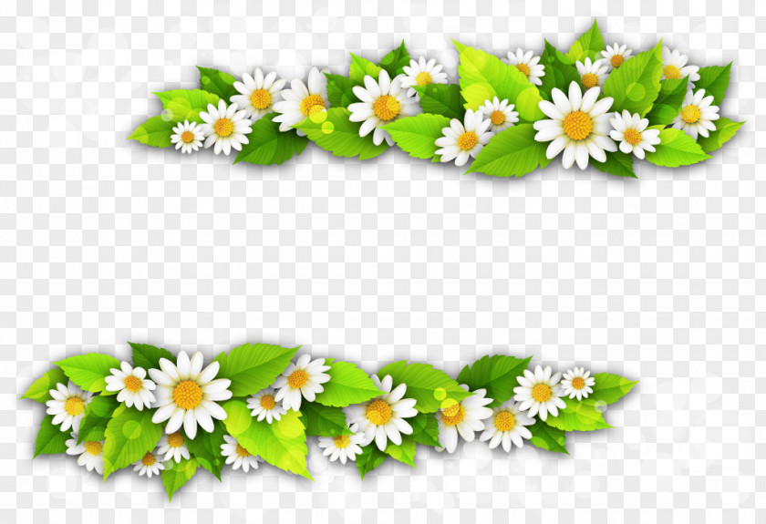 Flower Floral Design Clip Art PNG