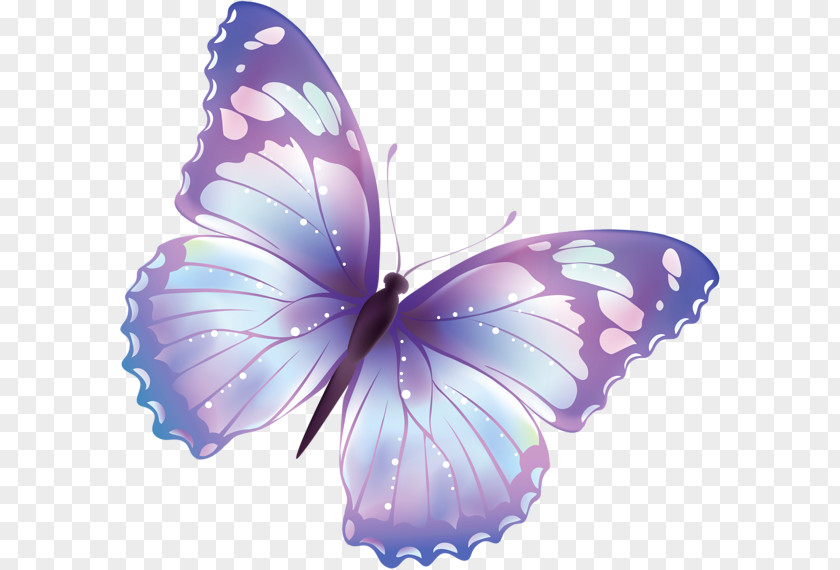 Steel Butterfly Cliparts Free Content Clip Art PNG
