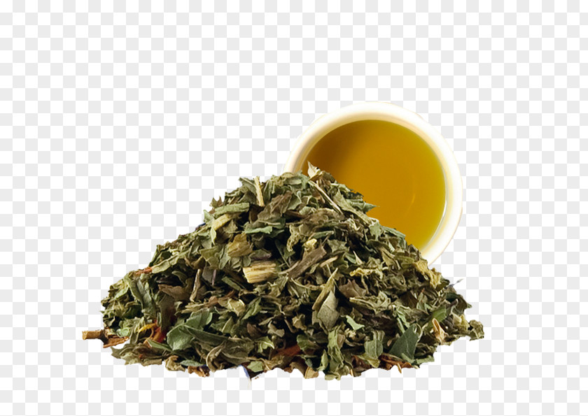 Tea Nilgiri Hōjicha Bag Peppermint PNG