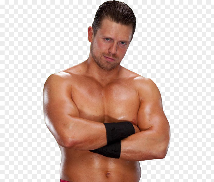 The Miz WWE Raw Royal Rumble 2018 Elimination Chamber PNG Chamber, then clipart PNG