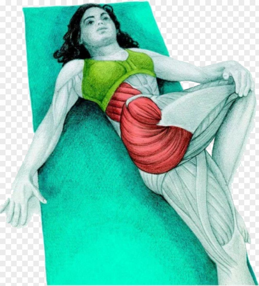 Twist Workout Stretching Latissimus Dorsi Muscle Supine Position Human Body PNG