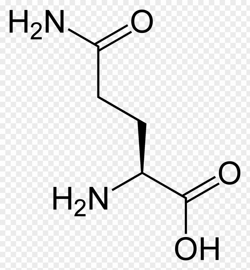 Skeletal Muscle Aspartic Acid Amino Lysine Glutamic Arginine PNG