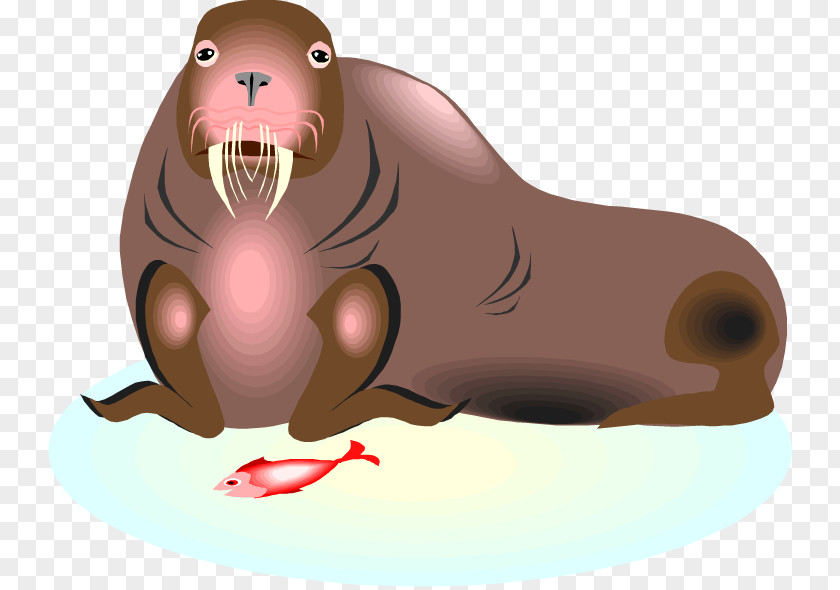 Baseball Walrus Cliparts The Player And Animation Clip Art PNG