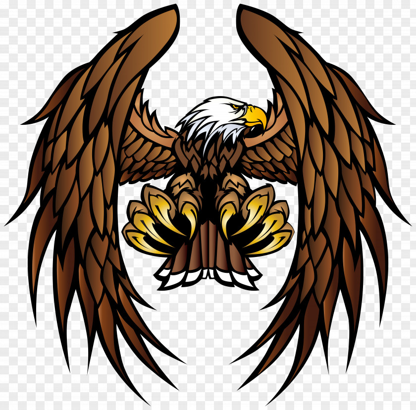 Claw Bald Eagle PNG