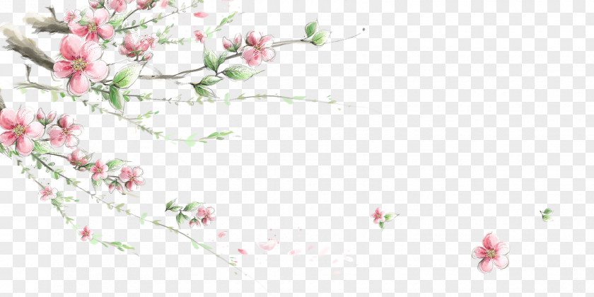 Flower Wallpaper Elegant Flowers Image PNG