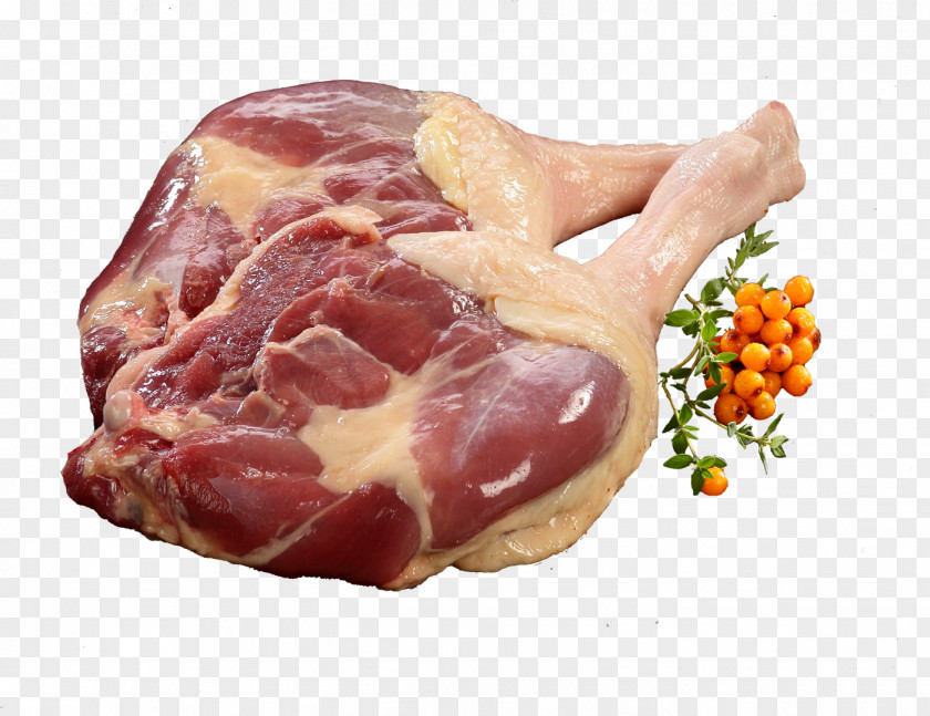 Goose Ham Anser Meat Food PNG