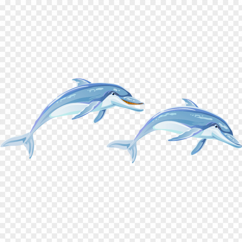 Hand-painted Dolphin Common Bottlenose Animal PNG
