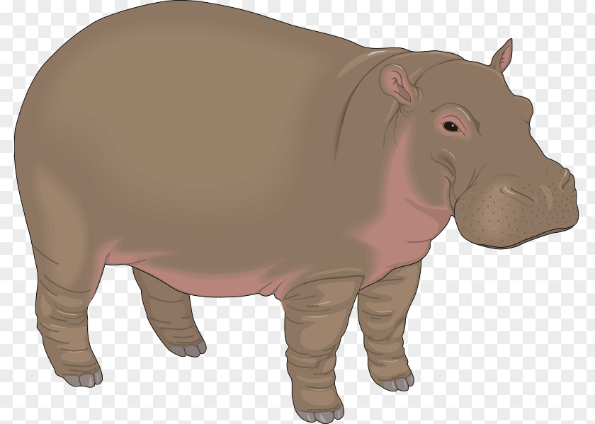Hippo Material Hippopotamus Baby Hippos Free Content Clip Art PNG