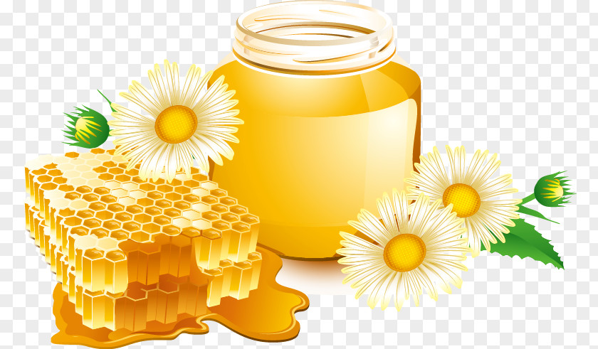 Honey Creative Bee Honeycomb PNG