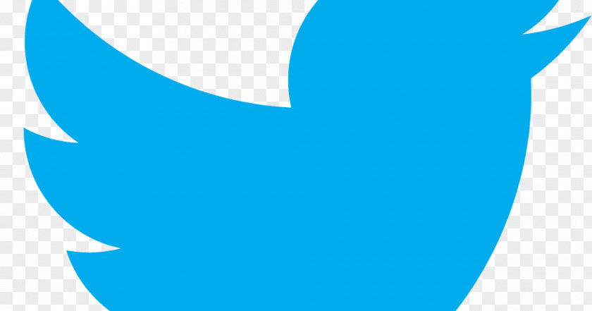 Overlapping Bird Social Media Marketing Blog Company Influencer PNG