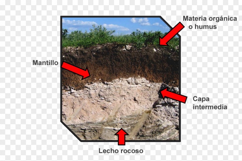 Natural Environment Soil Erosion Fertility Science Edaphology PNG